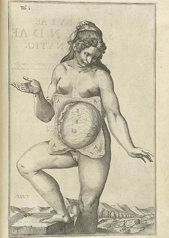 Tabulae Anatomicae, click for larger image