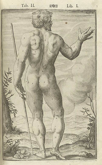 Tabulae Anatomicae, click for larger image
