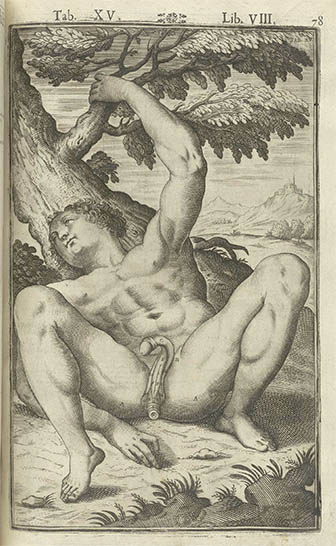 Tabulae Anatomicae, click for larger image