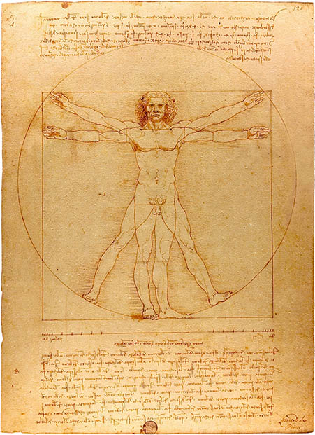 Vitruvian Man, click for larger image