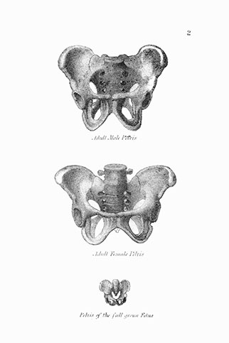 Midwifery Illustrated, click for larger image