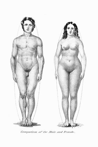 Midwifery Illustrated, click for larger image