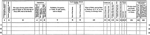 The 1870 questionaire, click for larger image