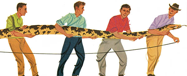 Golden Book of Biology, click for larger image