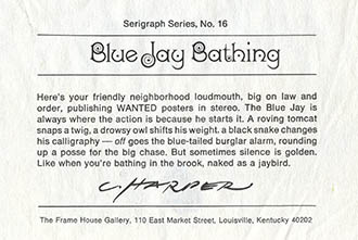Blue Jay Bathing, click for larger image