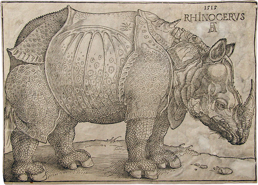 Rhinoceros, click for larger image