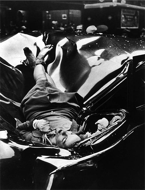 Evelyn McHale, click for larger image