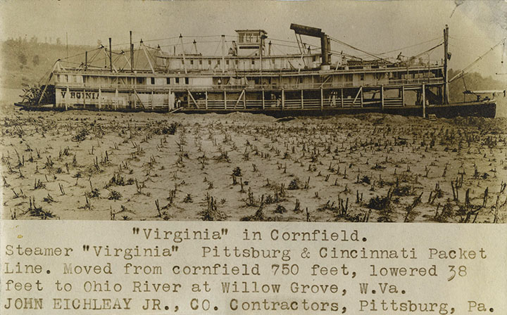 Virginia in a cornfield, Eichleay promo, click for larger image