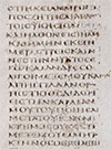 The Codex Sinaiticus