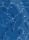 The Stars: A New Way to See Them