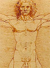 Leonardo's Notebooks