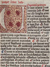 The Giant Bible of Mainz