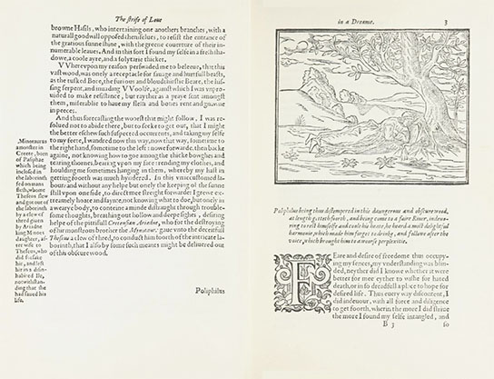 HP, click for larger image