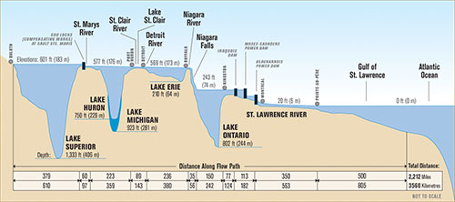 System profile, click for larger image