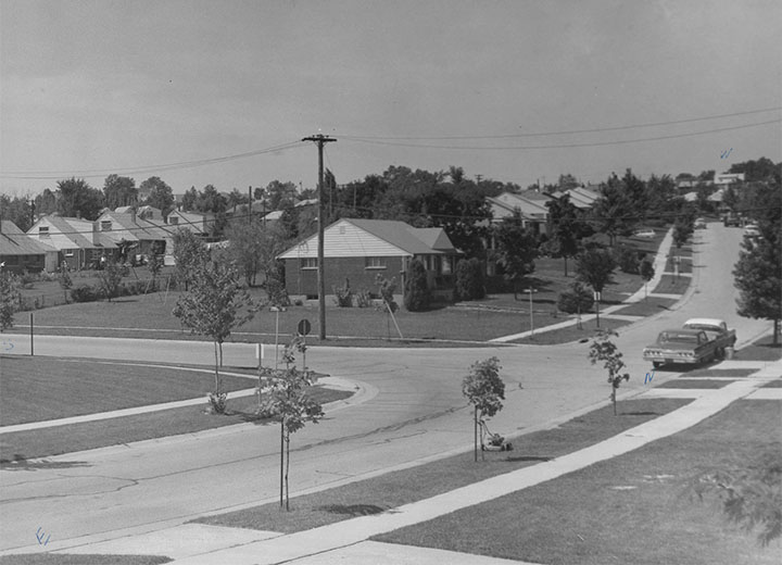 View of the Udry's yard from Japonica, click for larger image